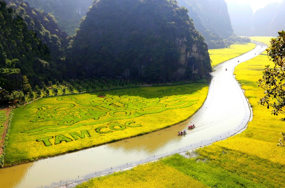 Núi rừng, cảnh vật rực rỡ sắc vàng